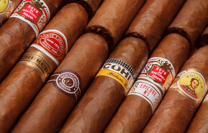 Cigares Habanos alignés